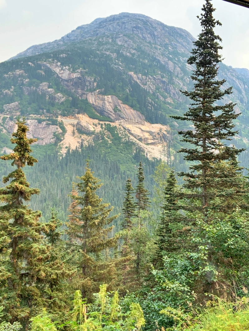 2019-07-10 12-57-15.jpg